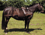 Windsor Oily Leather Driving Harness Windsor Oily Leather Driving Harness