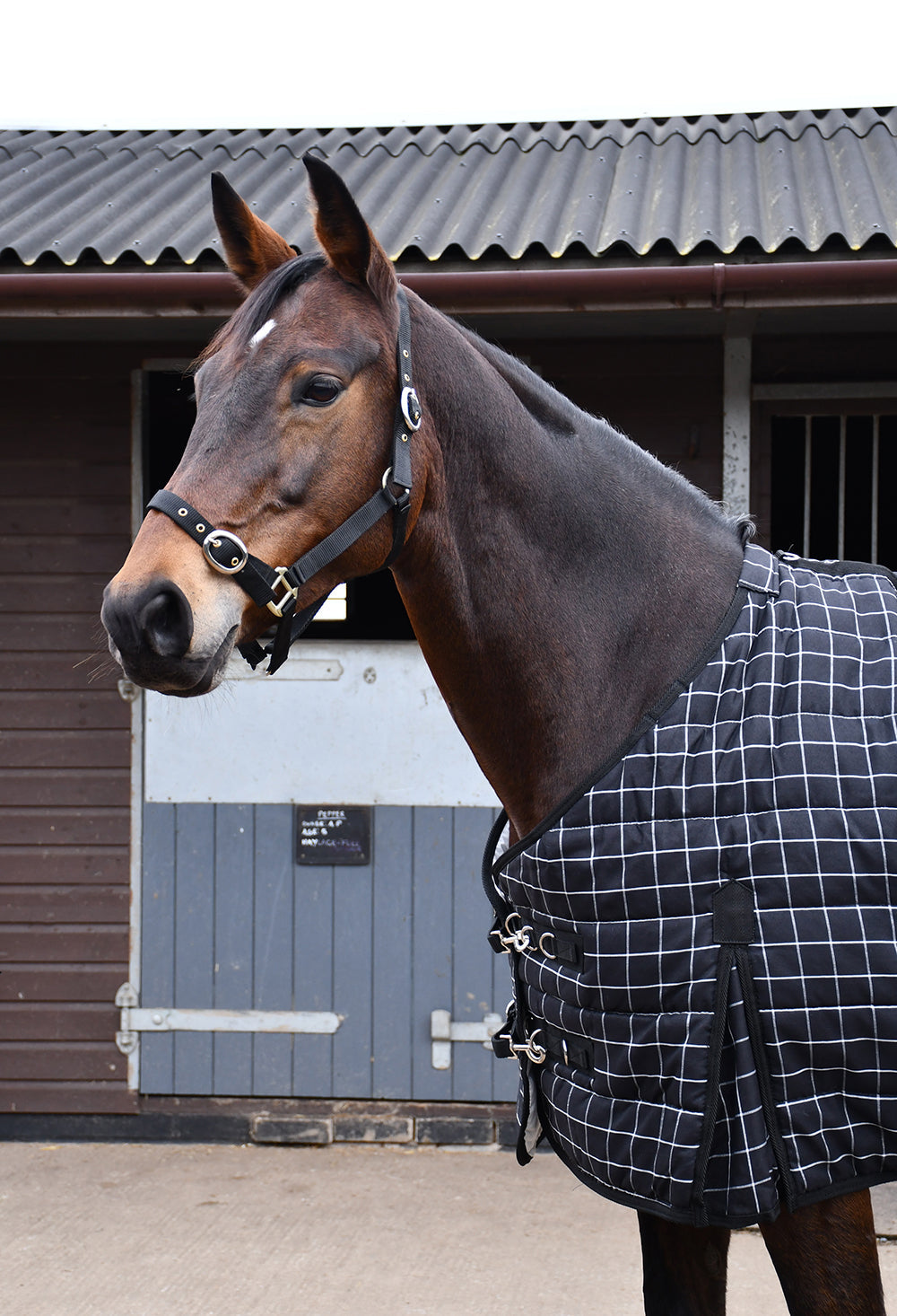Rhinegold ‘Vegas’ Stable Quilted Rug Rhinegold ‘Vegas’ Stable Quilted Rug
