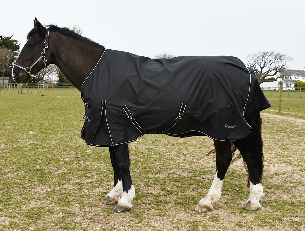 Rhinegold Capri 100gsm Turnout Rug Rhinegold Capri 100gsm Turnout Rug