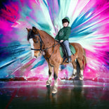 Colour Splash Horse Portrait – Bold Custom Canvas Art Colour Splash Horse Portrait – Bold Custom Canvas Art