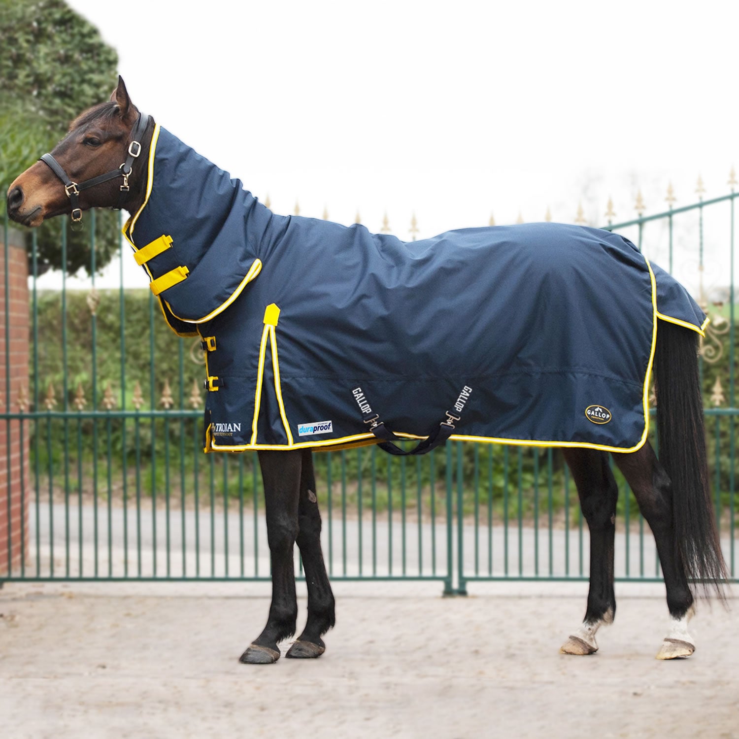 Gallop Trojan Duraproof 200g Turnout Rug - Navy Gallop Trojan Duraproof 200g Turnout Rug - Navy