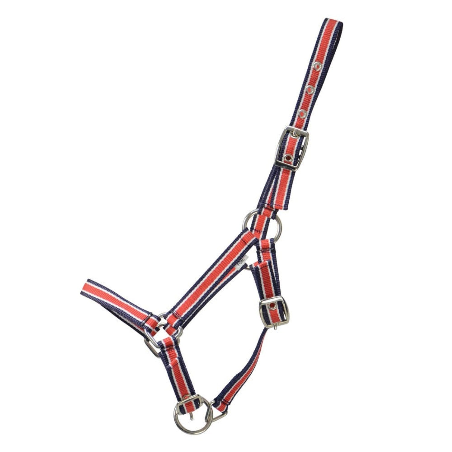 Hy Equestrian Foal Plus Head Collar Hy Equestrian Foal Plus Head Collar