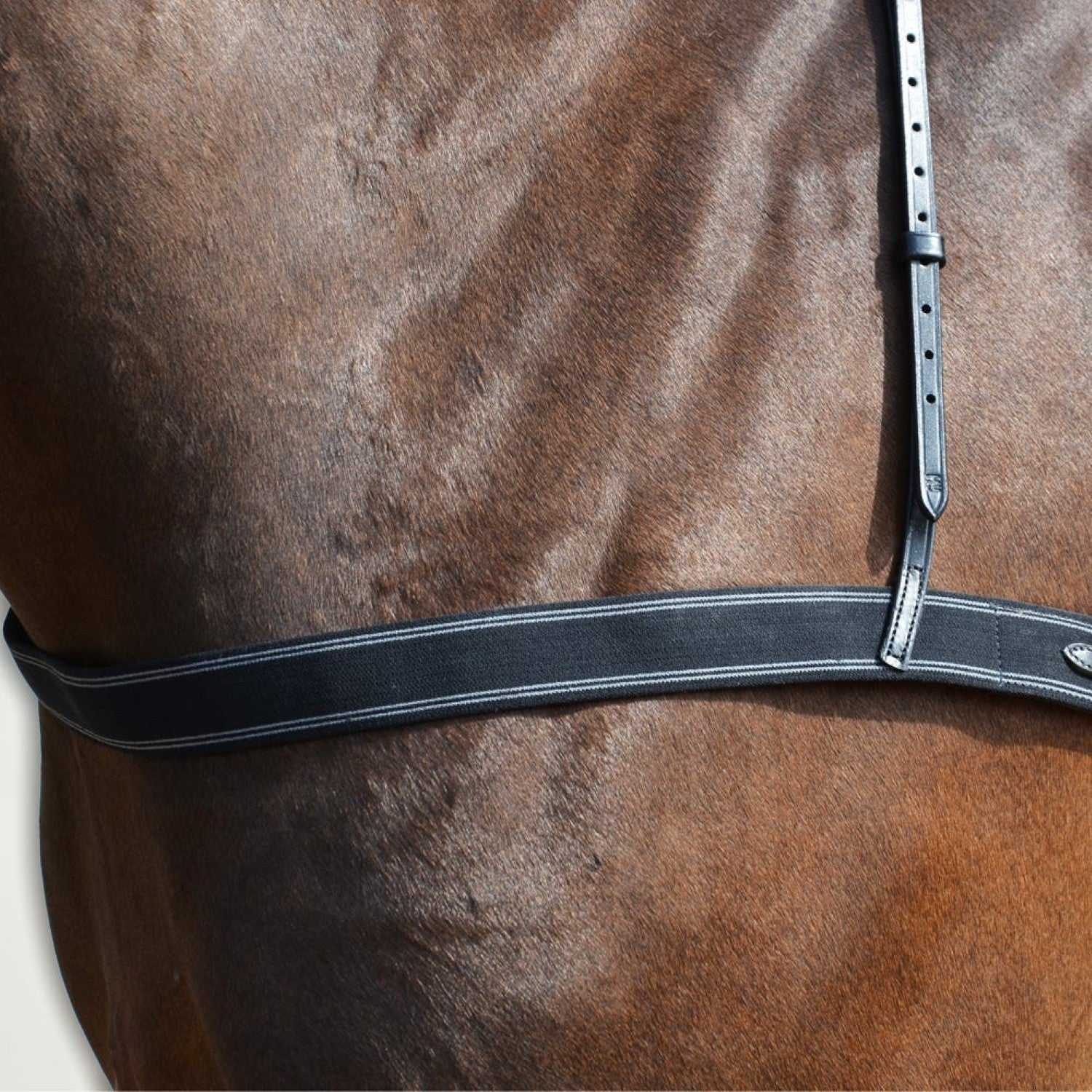 Hy Equestrian Elastic Breastgirth Hy Equestrian Elastic Breastgirth