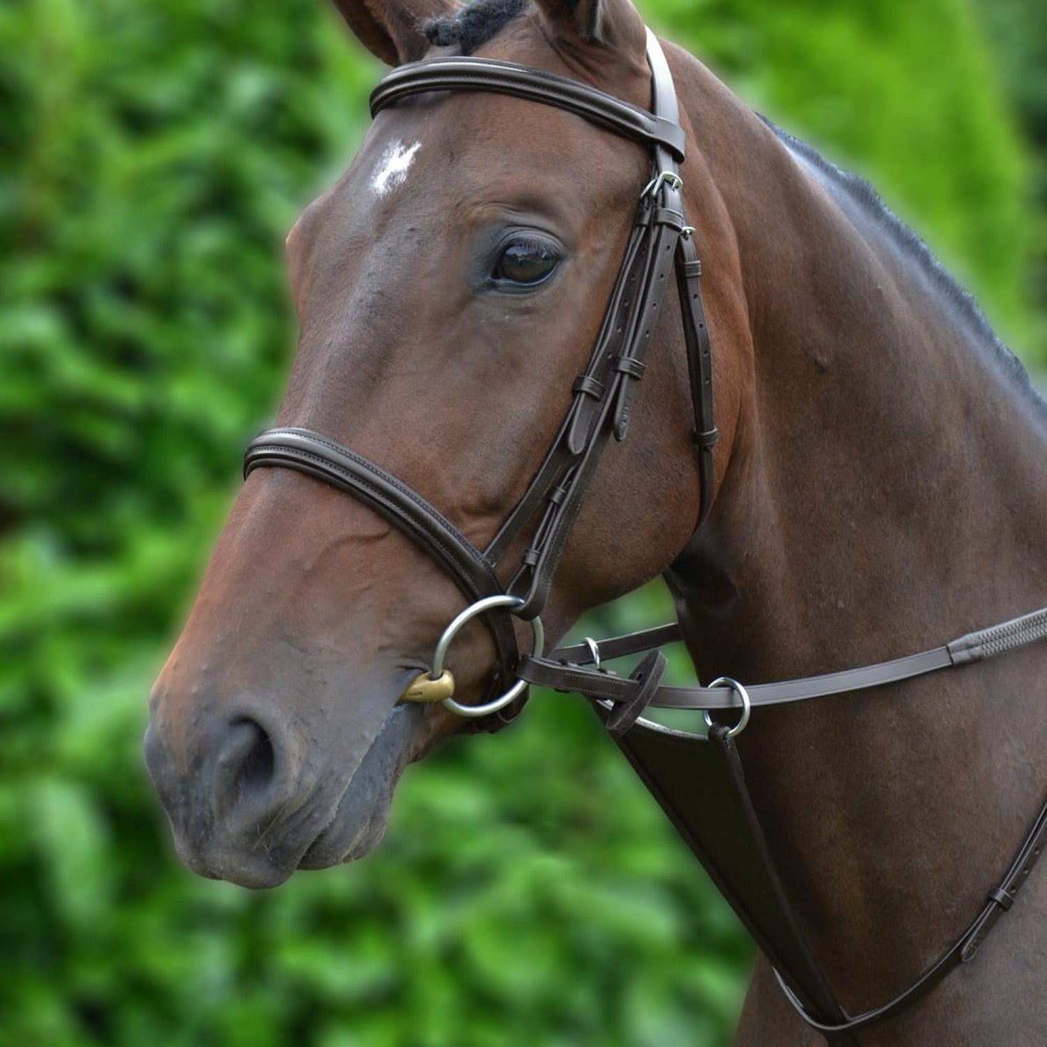 Hy Equestrian Bib Martingale Hy Equestrian Bib Martingale