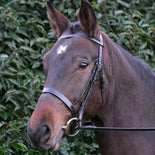 Hy Equestrian Hunter Bridle with Rubber Grip Reins Hy Equestrian Hunter Bridle with Rubber Grip Reins