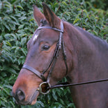 Hy Equestrian Hunter Bridle with Rubber Grip Reins Hy Equestrian Hunter Bridle with Rubber Grip Reins