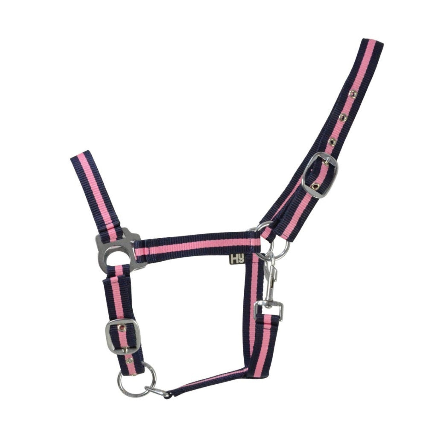 Hy Equestrian Economy Plus Two-Tone Head Collar Hy Equestrian Economy Plus Two-Tone Head Collar