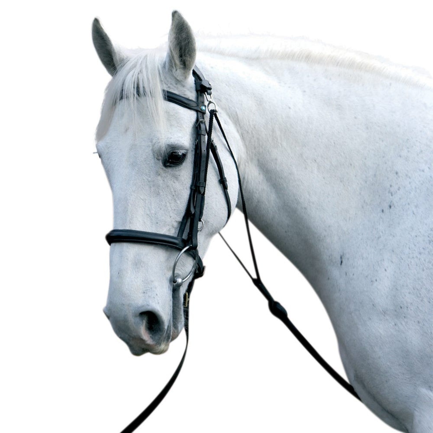 Hy Equestrian Chambon Hy Equestrian Chambon