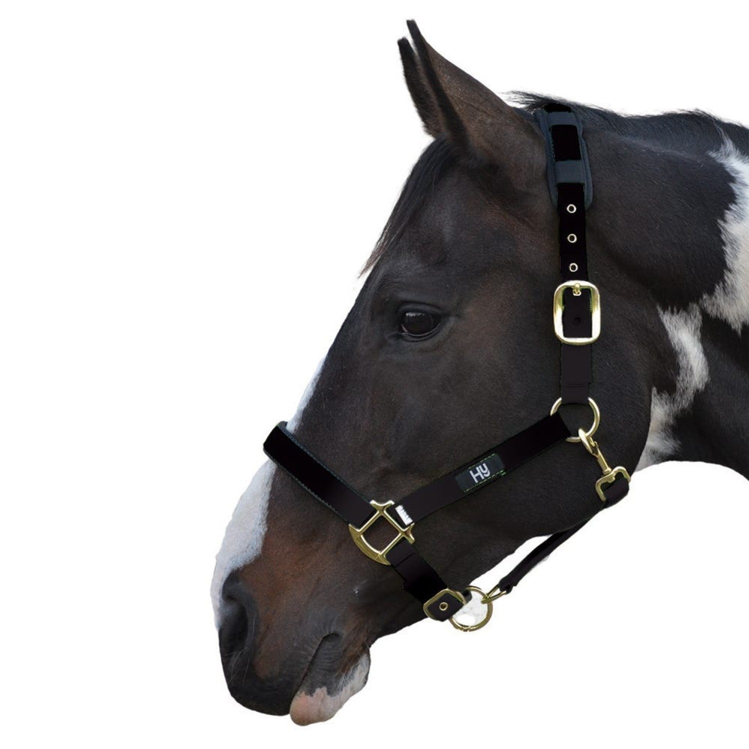 Hy Equestrian Deluxe Padded Head Collar Hy Equestrian Deluxe Padded Head Collar