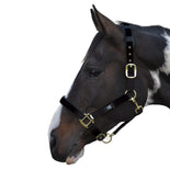 Hy Equestrian Deluxe Padded Head Collar Hy Equestrian Deluxe Padded Head Collar