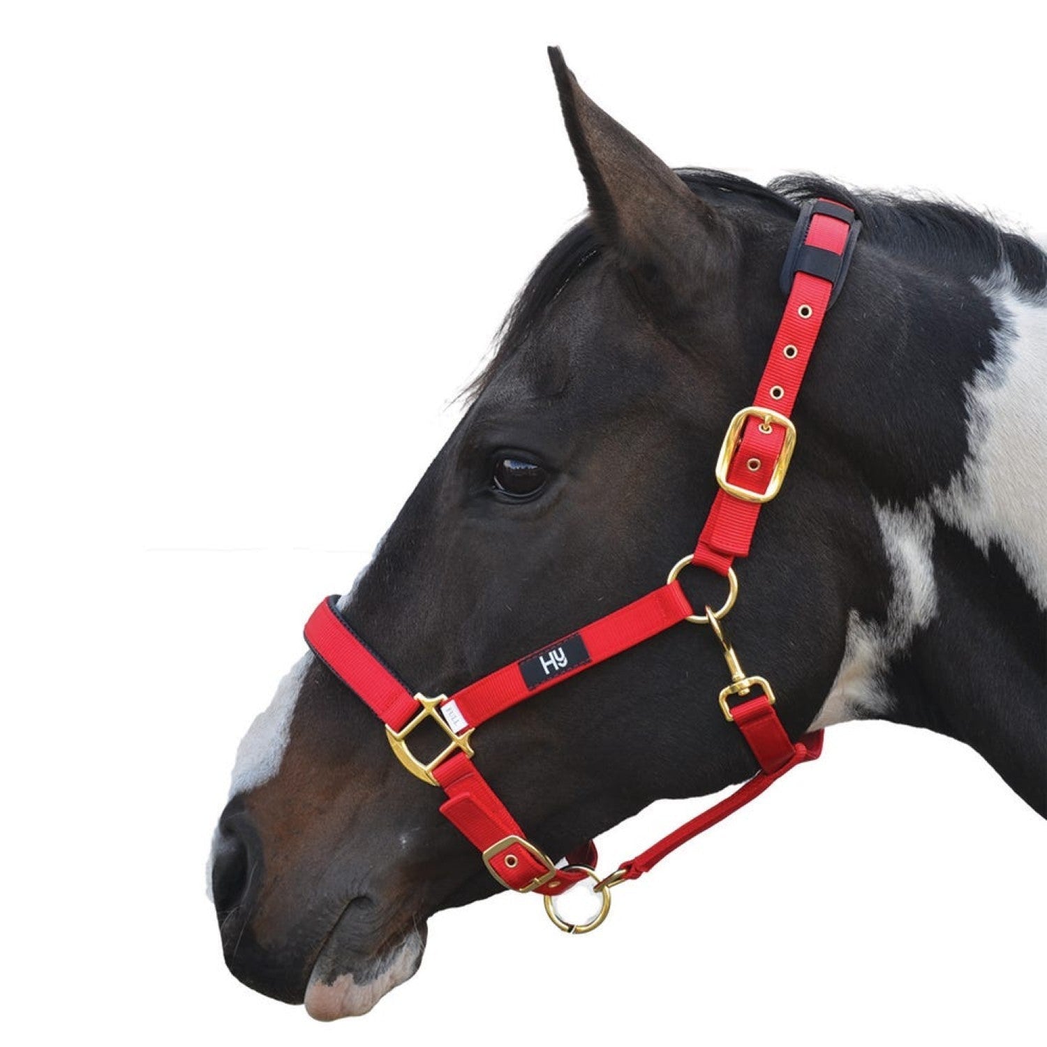 Hy Equestrian Deluxe Padded Head Collar Hy Equestrian Deluxe Padded Head Collar