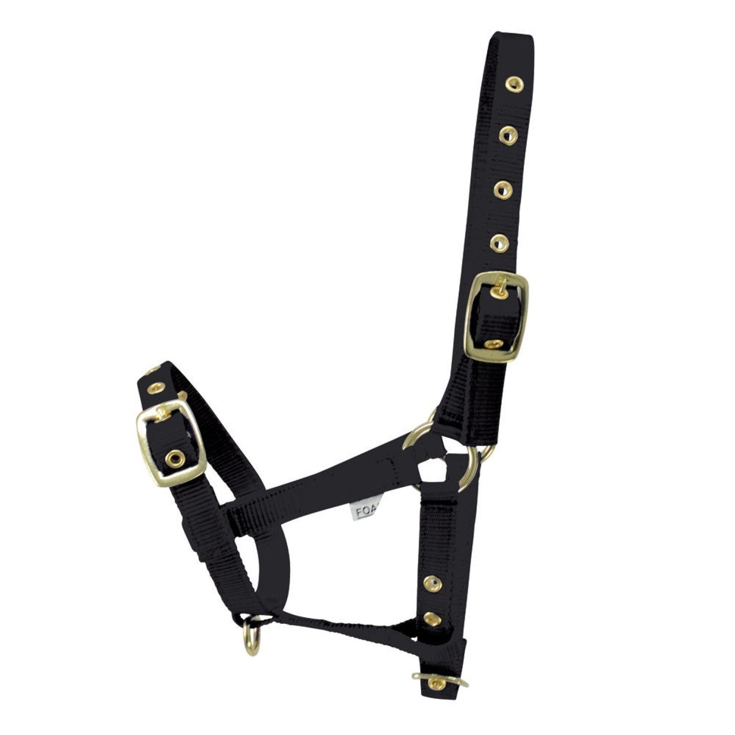 Hy Equestrian Foal Head Collar Hy Equestrian Foal Head Collar