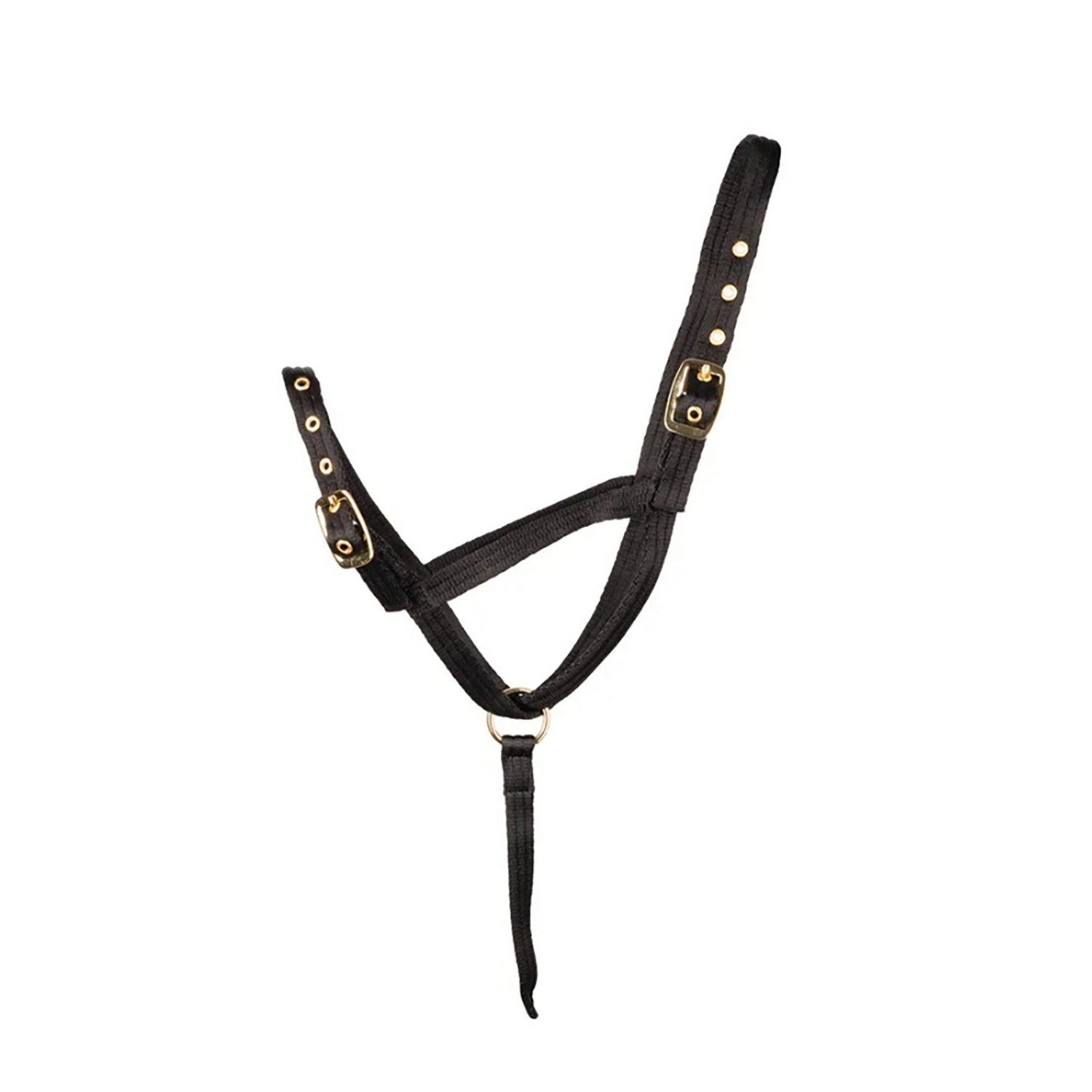 Hy Equestrian Foal Slip Halter Hy Equestrian Foal Slip Halter