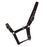 Hy Equestrian Holly Fully Adjustable Head Collar Hy Equestrian Holly Fully Adjustable Head Collar