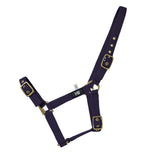 Hy Equestrian Holly Fully Adjustable Head Collar Hy Equestrian Holly Fully Adjustable Head Collar