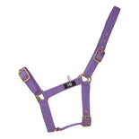 Hy Equestrian Holly Fully Adjustable Head Collar Hy Equestrian Holly Fully Adjustable Head Collar