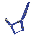 Hy Equestrian Holly Fully Adjustable Head Collar Hy Equestrian Holly Fully Adjustable Head Collar