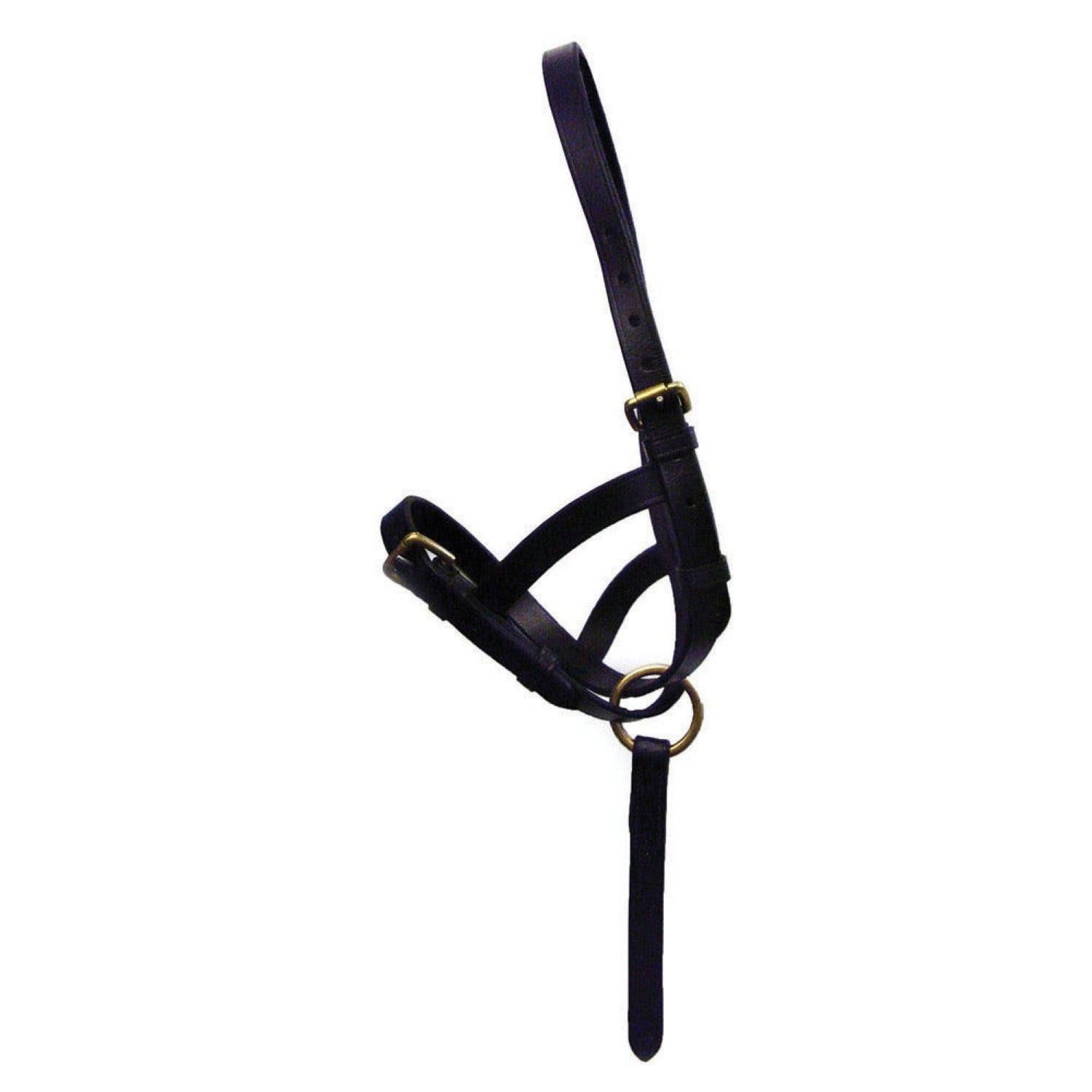 Hy Equestrian Leather Foal Slip Hy Equestrian Leather Foal Slip