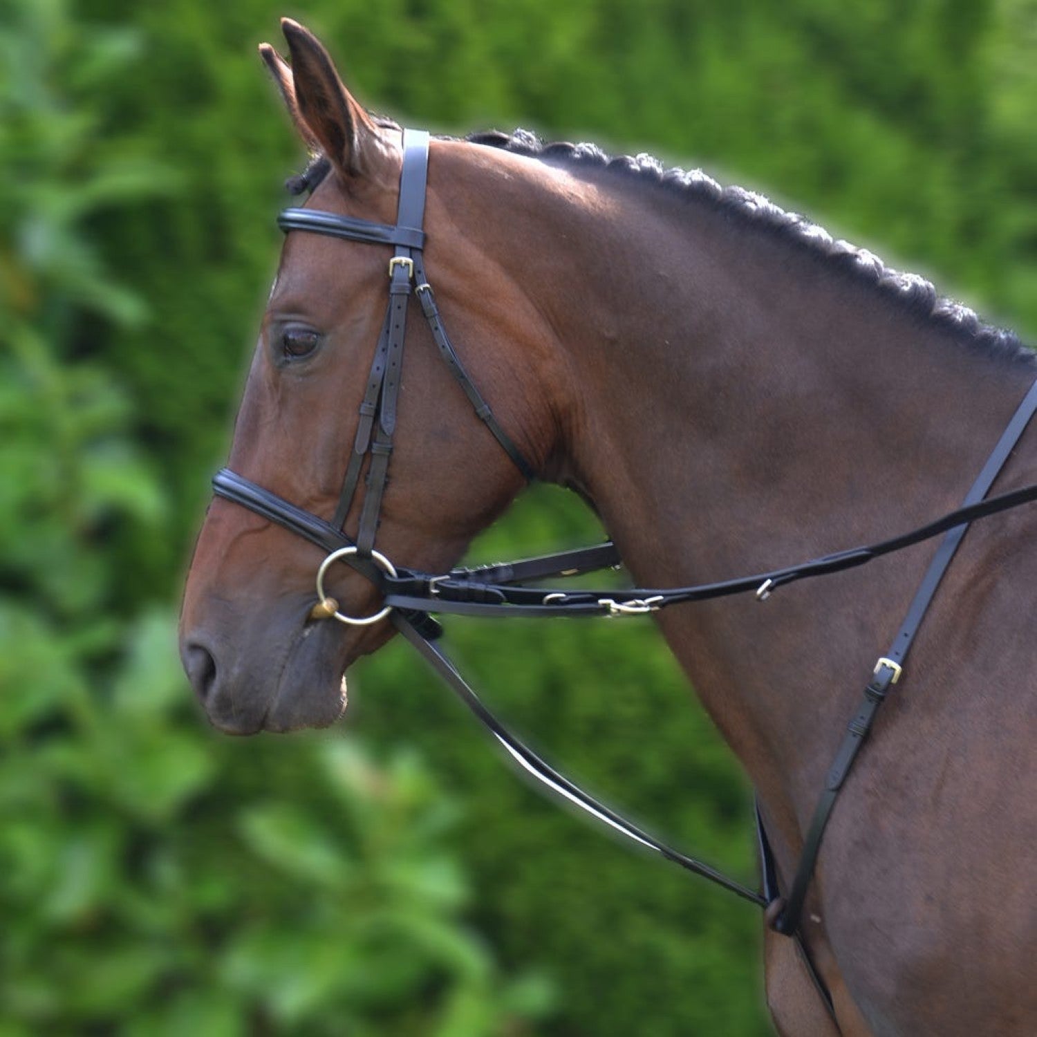 Hy Equestrian Market Harborough Hy Equestrian Market Harborough