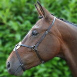 Hy Equestrian Mexican Grackle Noseband Hy Equestrian Mexican Grackle Noseband