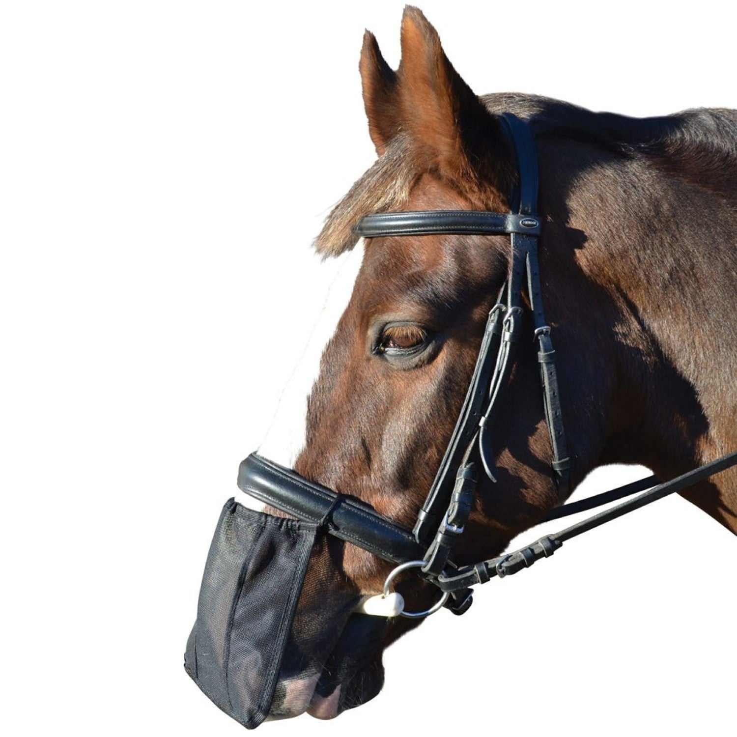 Hy Equestrian Nose Shield Hy Equestrian Nose Shield
