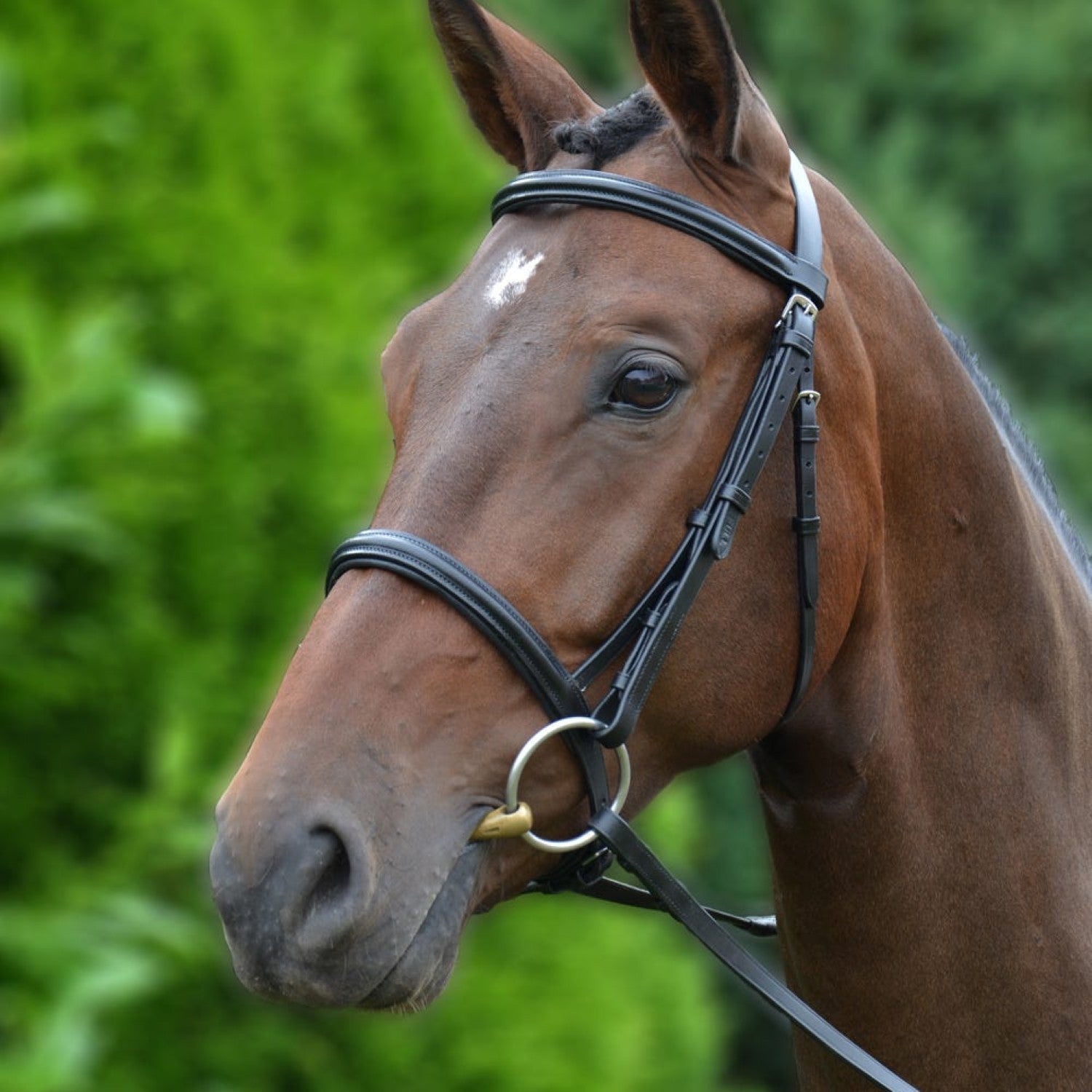 Hy Equestrian Padded Cavesson Bridle with Rubber Grip Reins - Full 5/8'' Hy Equestrian Padded Cavesson Bridle with Rubber Grip Reins - Full 5/8''