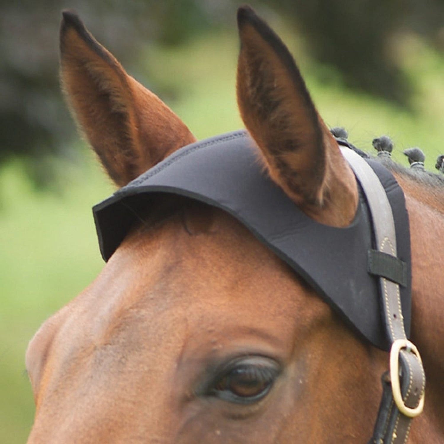 Hy Equestrian Poll Guard Hy Equestrian Poll Guard