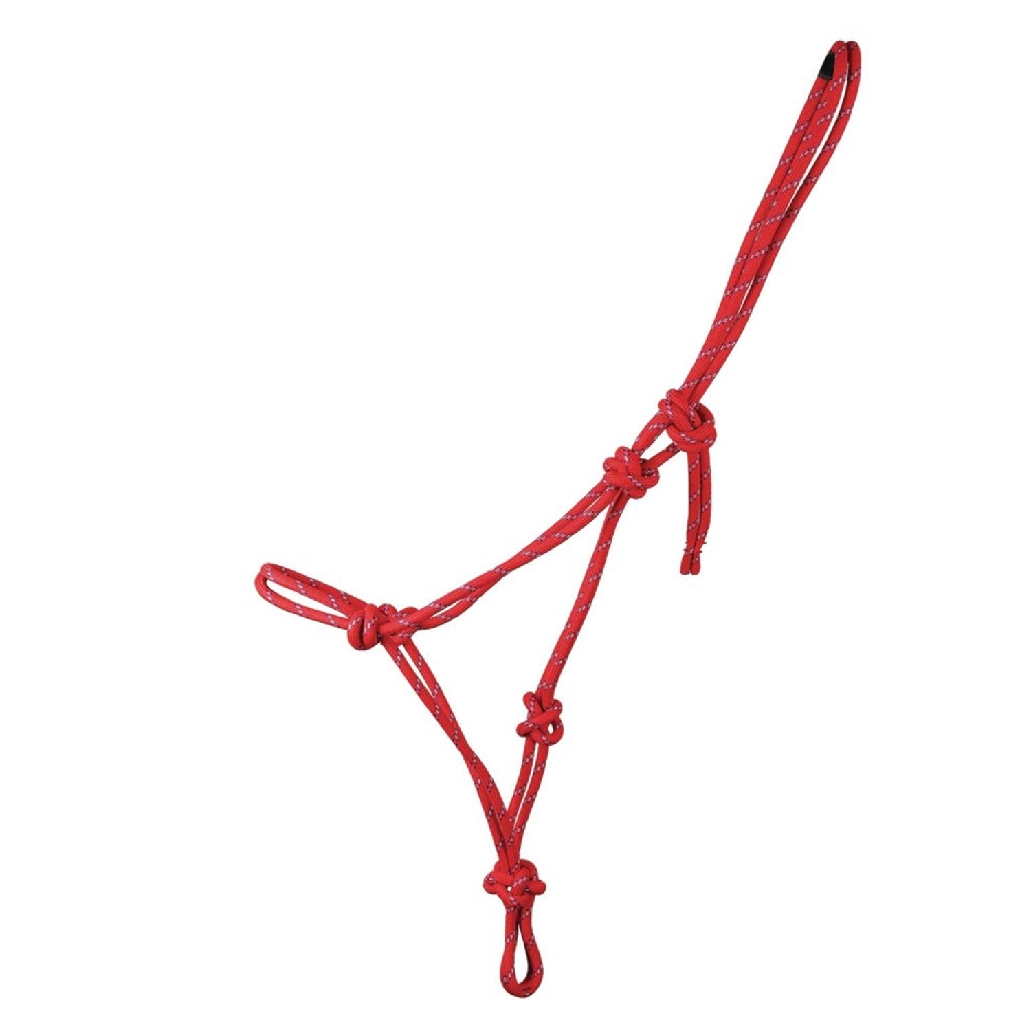 Hy Equestrian Double Braid Rope Halter Hy Equestrian Double Braid Rope Halter