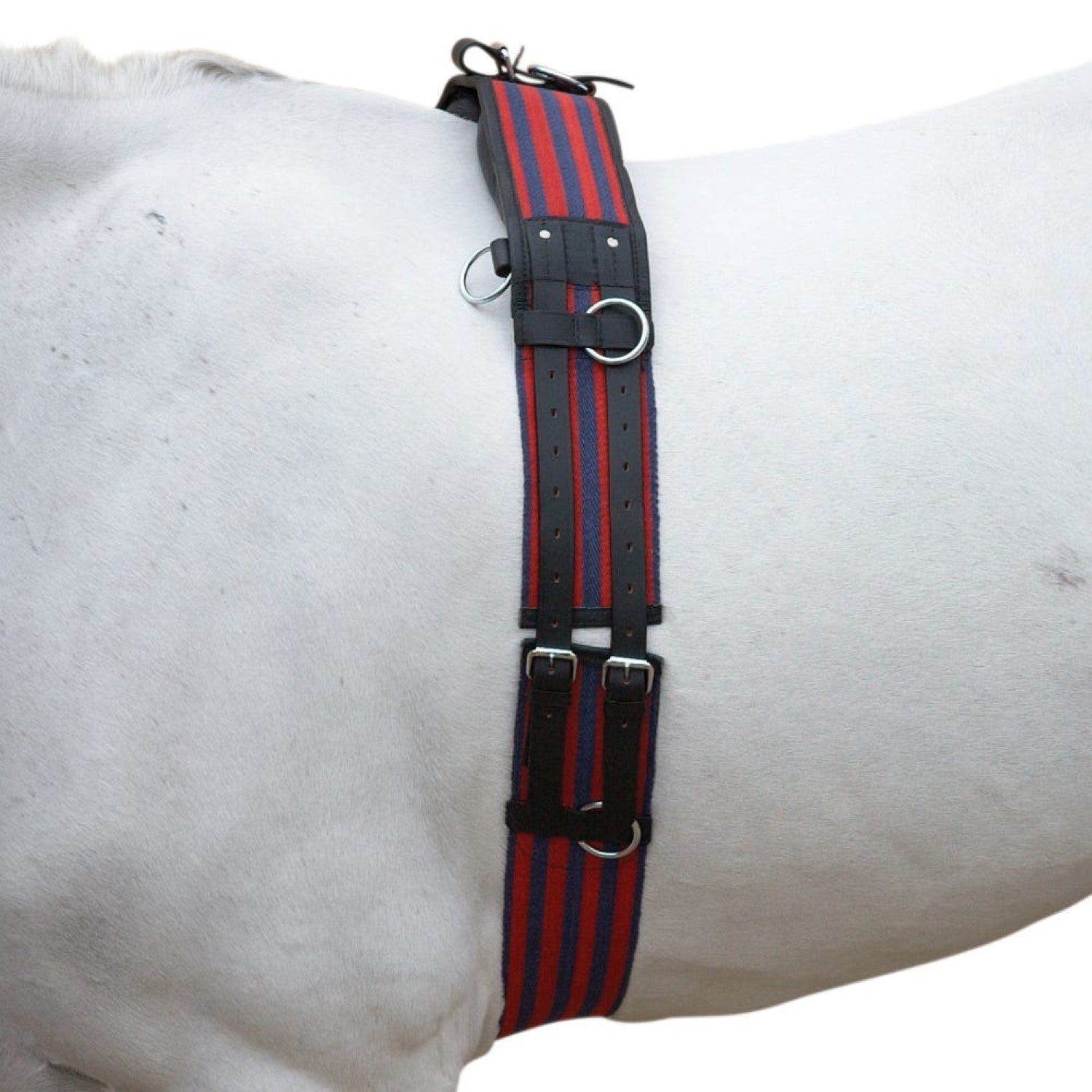 Hy Equestrian Training Roller Hy Equestrian Training Roller