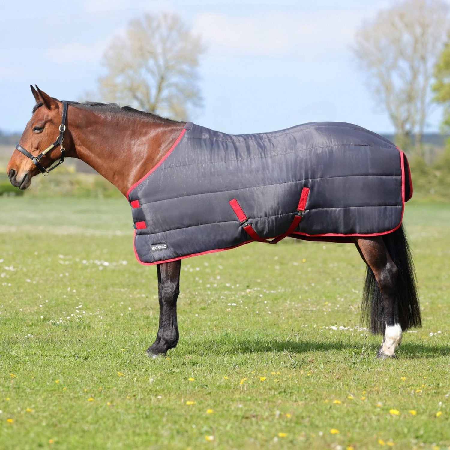 HyCONIC 250g Stable Rug HyCONIC 250g Stable Rug