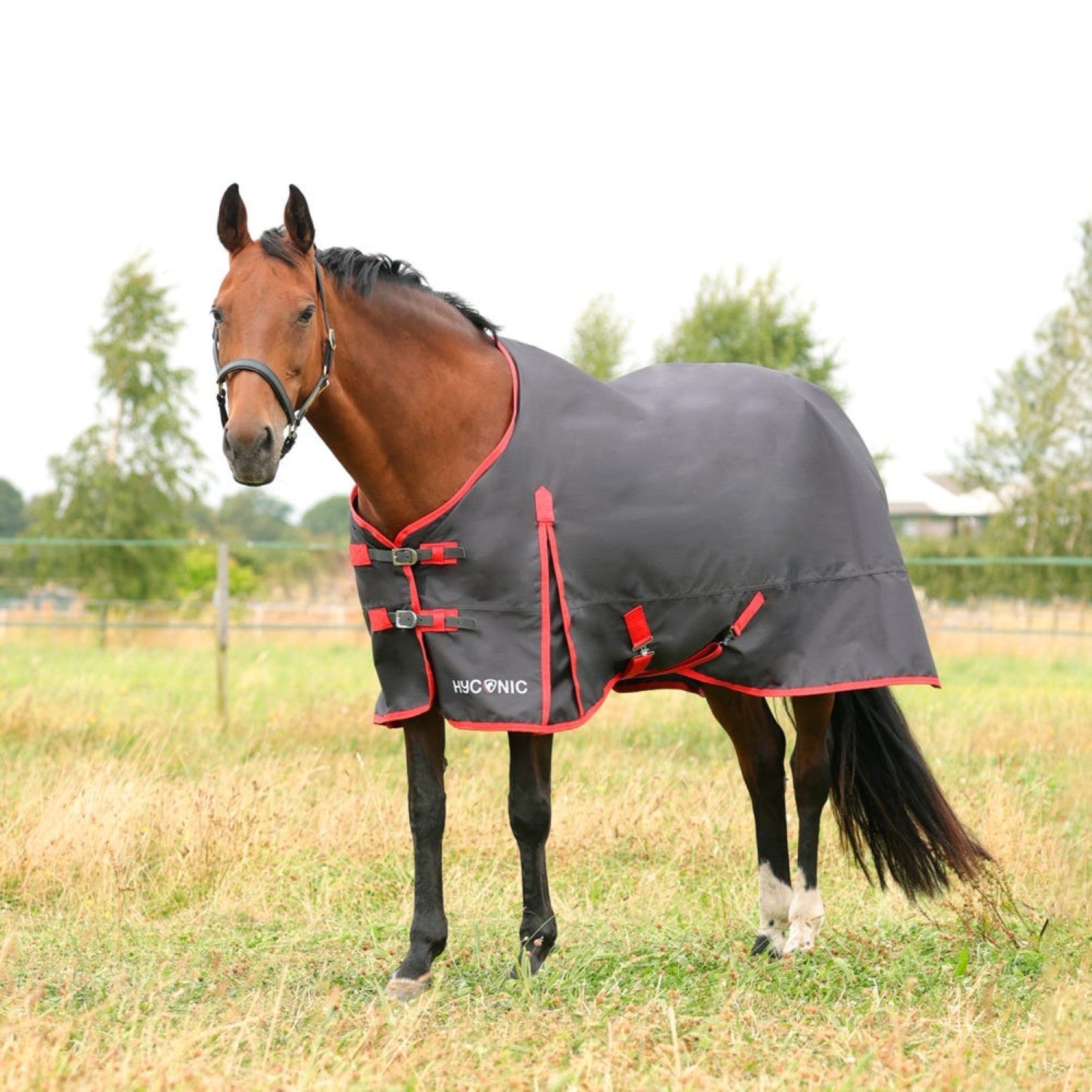 HyCONIC 0g Turnout Rug - Charcoal/Red HyCONIC 0g Turnout Rug - Charcoal/Red