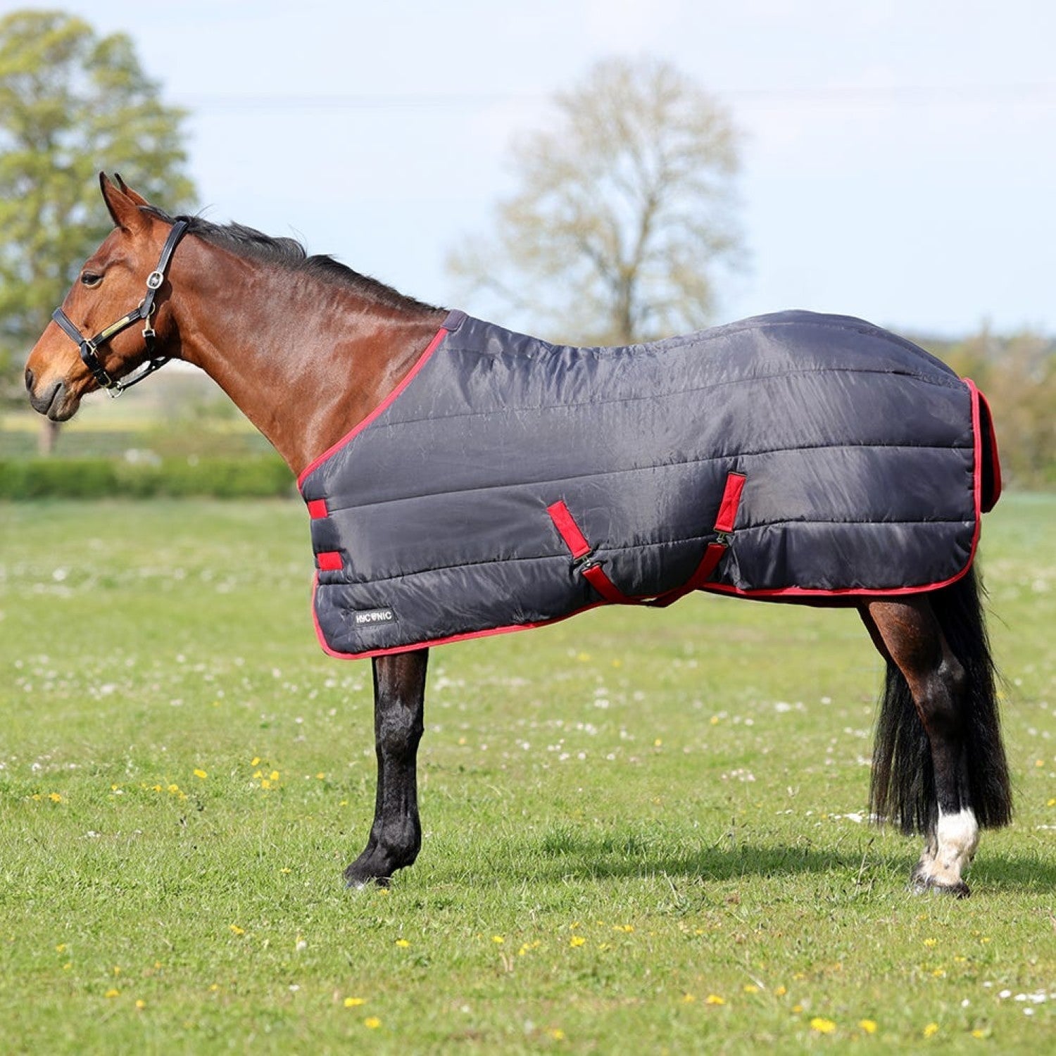 HyCONIC 100g Stable Rug HyCONIC 100g Stable Rug
