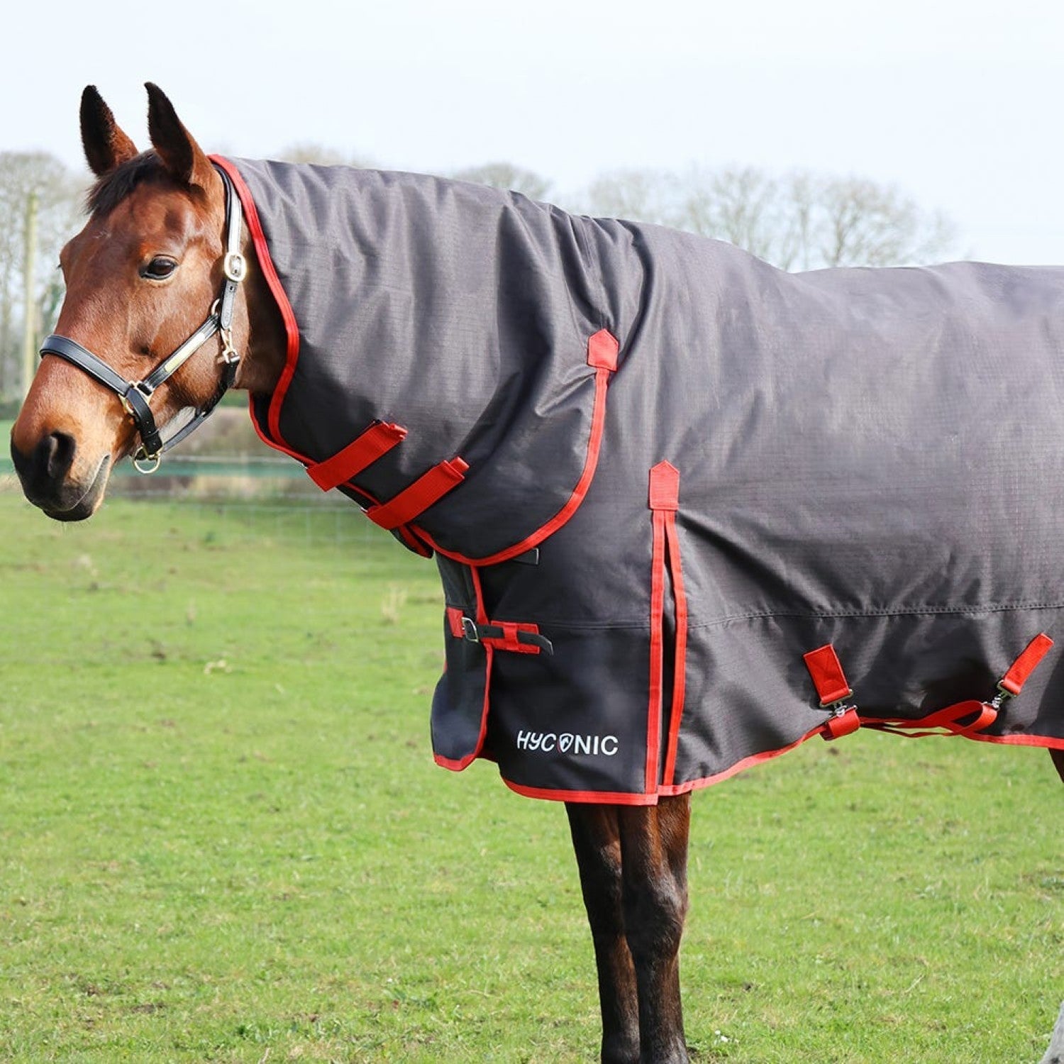 HyCONIC 200g Combi Turnout Rug - Charcoal/Red HyCONIC 200g Combi Turnout Rug - Charcoal/Red