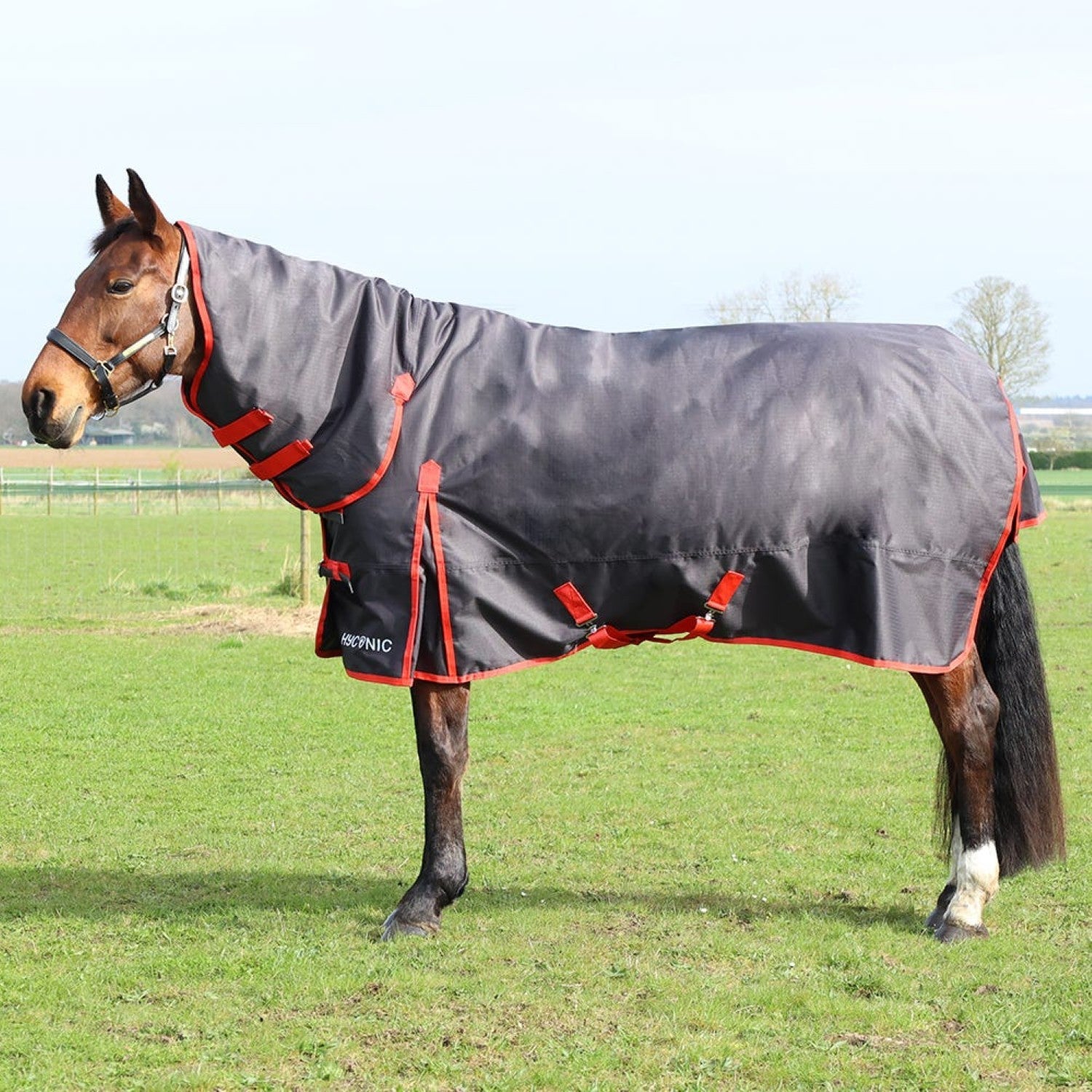HyCONIC 200g Combi Turnout Rug HyCONIC 200g Combi Turnout Rug