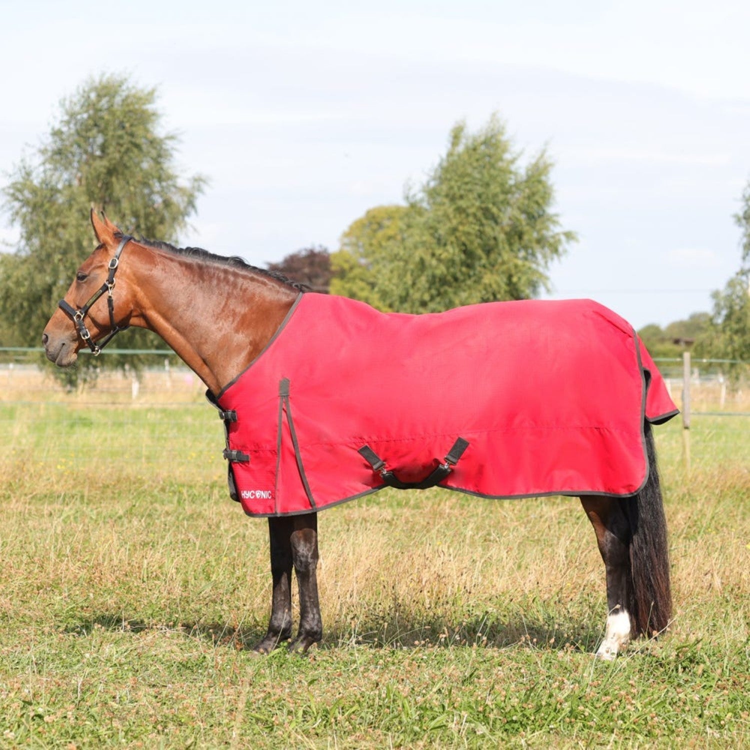 HyCONIC 100g Turnout Rug HyCONIC 100g Turnout Rug
