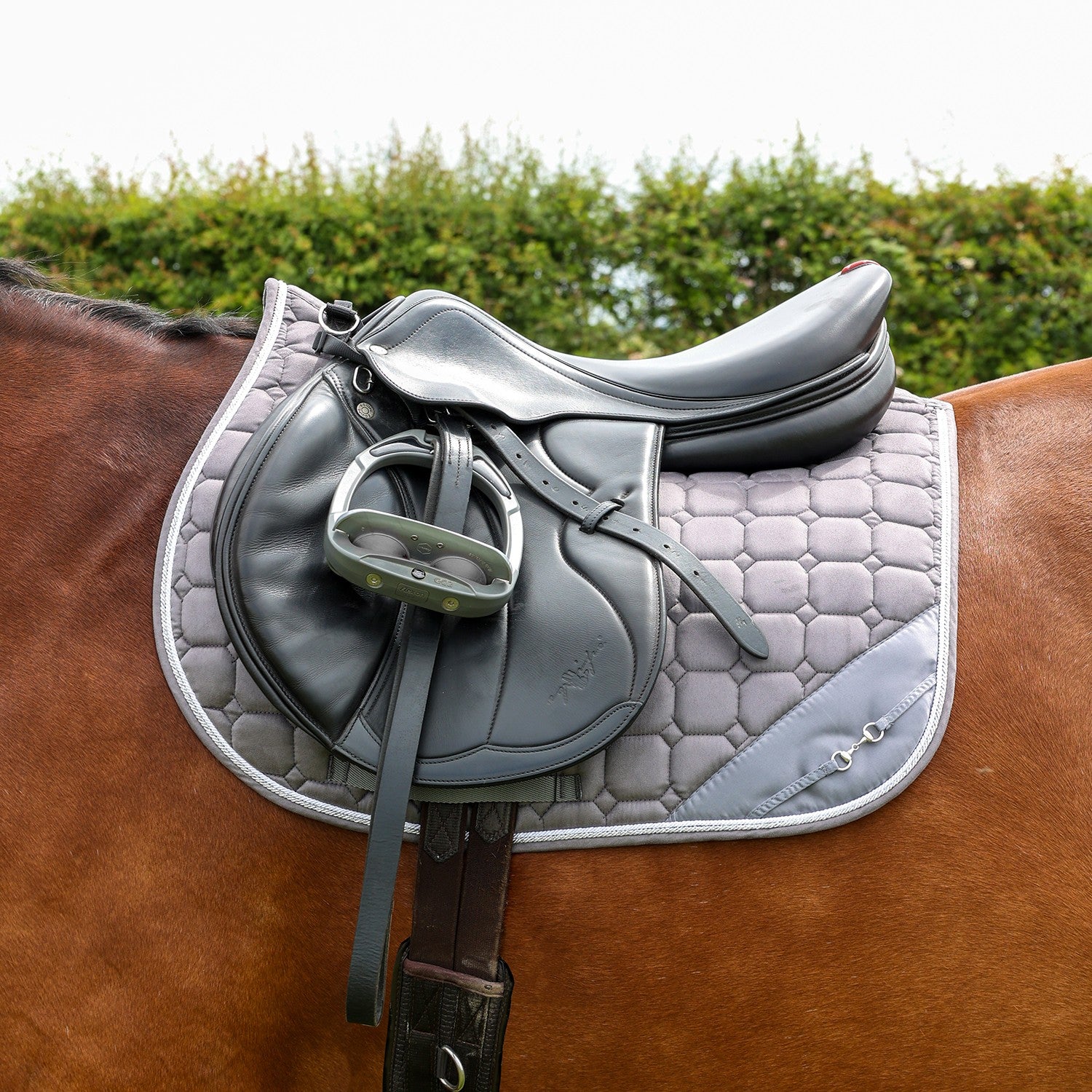 Hy Equestrian On The Bit Saddle Pad Hy Equestrian On The Bit Saddle Pad