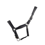 ProReaction Transform Head Collar by Hy Equestrian ProReaction Transform Head Collar by Hy Equestrian