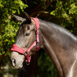 ProReaction Dura Fleece Head Collar by Hy Equestrian ProReaction Dura Fleece Head Collar by Hy Equestrian