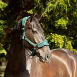 ProReaction Dura Fleece Head Collar by Hy Equestrian ProReaction Dura Fleece Head Collar by Hy Equestrian