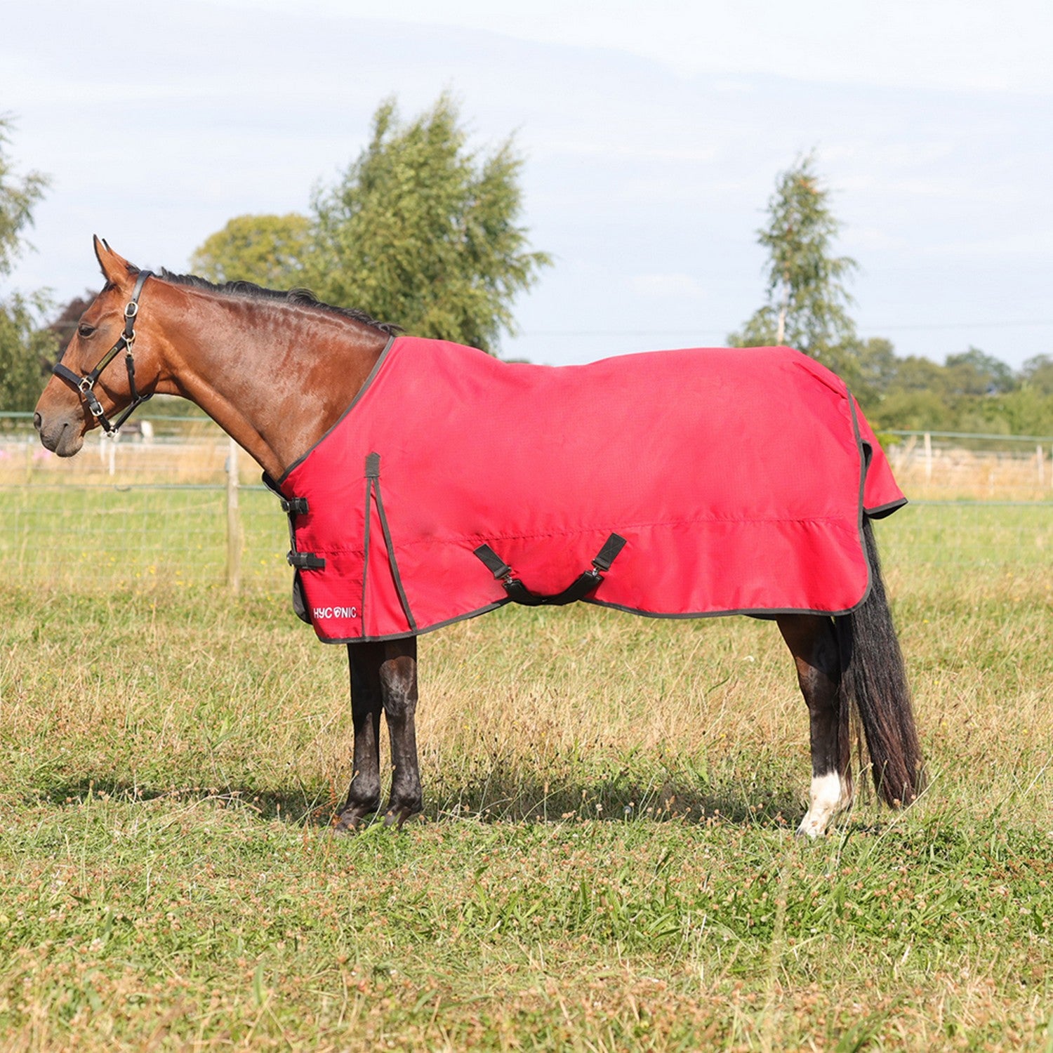 HyCONIC 200g Turnout Rug - Red HyCONIC 200g Turnout Rug - Red