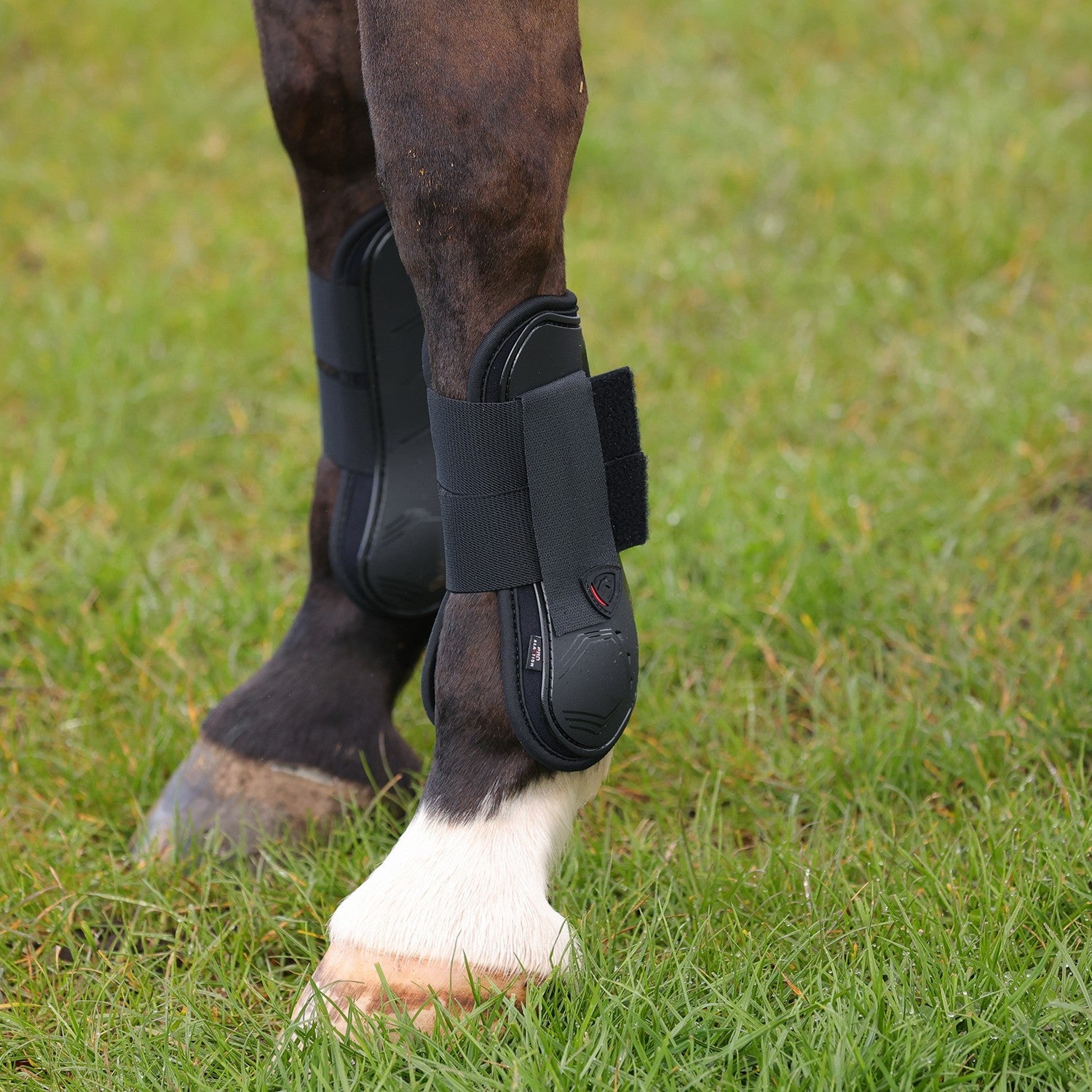ProReaction Armoured Guard Tendon Boot by Hy Equestrian ProReaction Armoured Guard Tendon Boot by Hy Equestrian