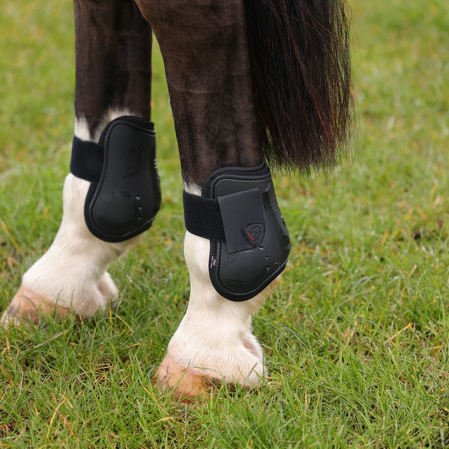 ProReaction Armoured Guard Fetlock Boot by Hy Equestrian ProReaction Armoured Guard Fetlock Boot by Hy Equestrian