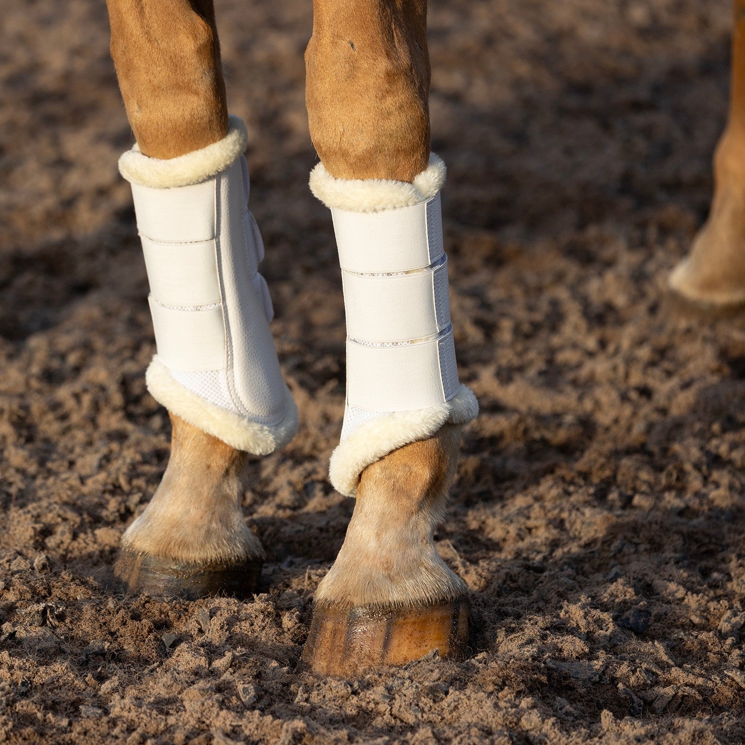 ProReaction Performance Air Mesh Brushing Boots by Hy Equestrian ProReaction Performance Air Mesh Brushing Boots by Hy Equestrian
