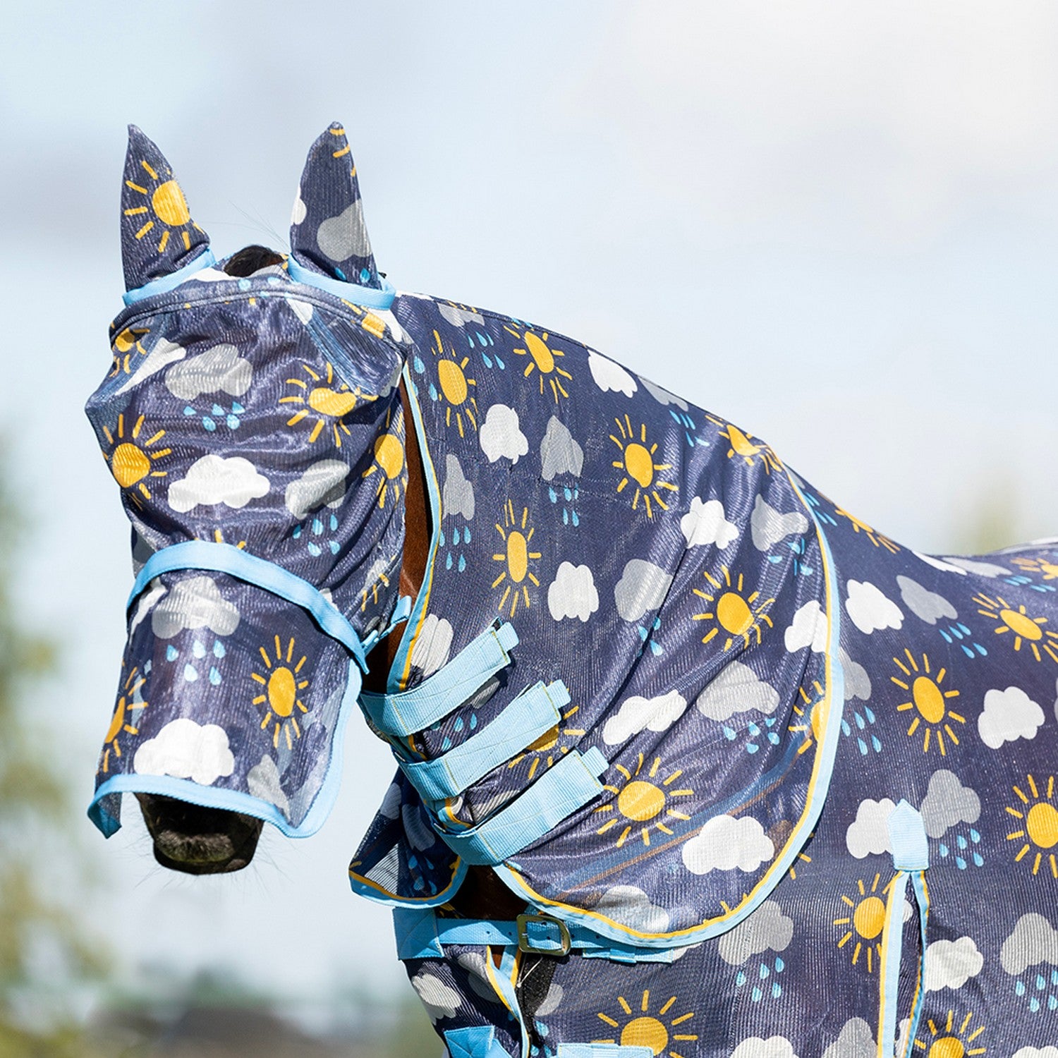 Hy Equestrian Come Rain or Shine Fly Mask with Ears and Detachable Nose Hy Equestrian Come Rain or Shine Fly Mask with Ears and Detachable Nose