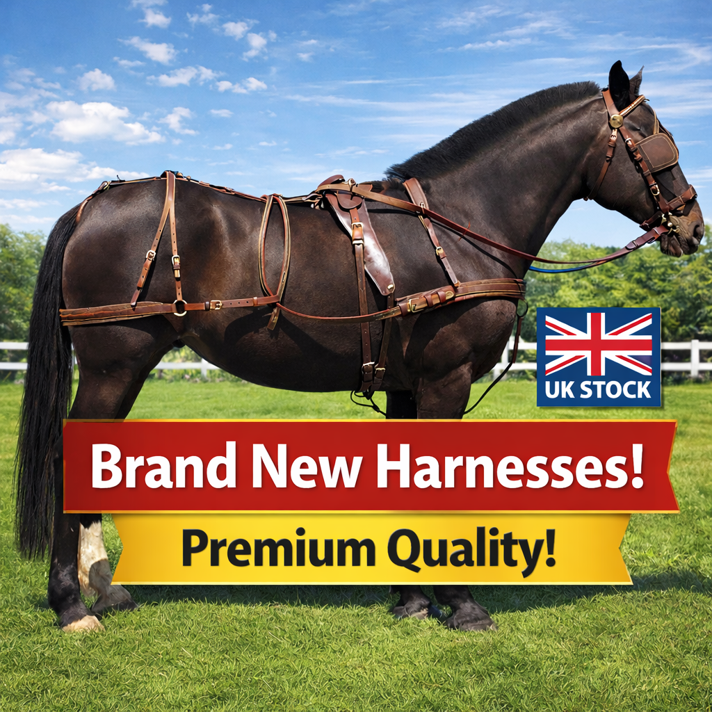 Windsor Oily Leather Driving Harness Windsor Oily Leather Driving Harness