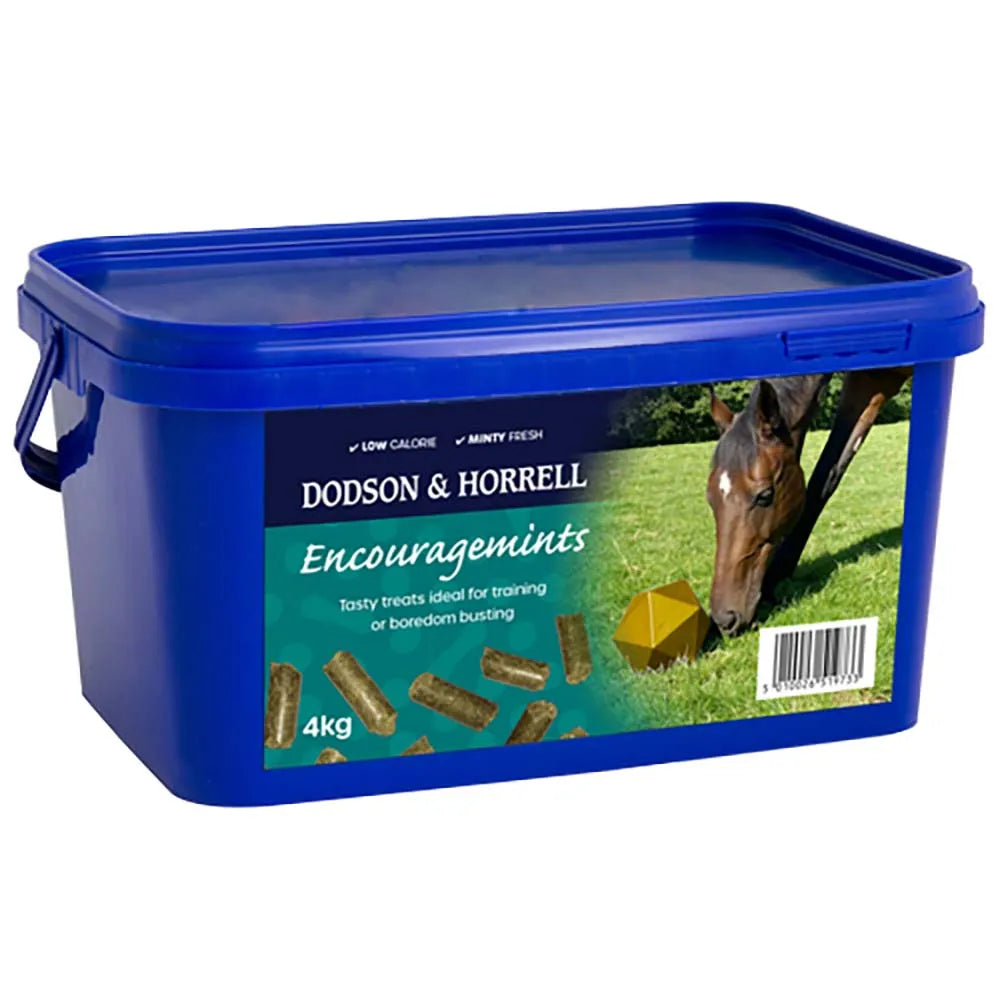 D&H Encouragemints - 20 x 750g D&H Encouragemints - 20 x 750g