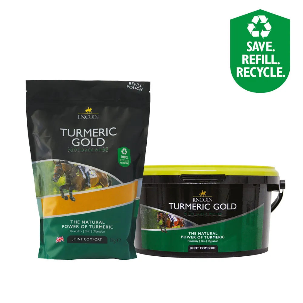 Lincoln Turmeric Gold Lincoln Turmeric Gold