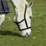 Rhinegold Field Safe Headcollar – Gentle, Metal-Free Safety for Your Horse Rhinegold Field Safe Headcollar – Gentle, Metal-Free Safety for Your Horse
