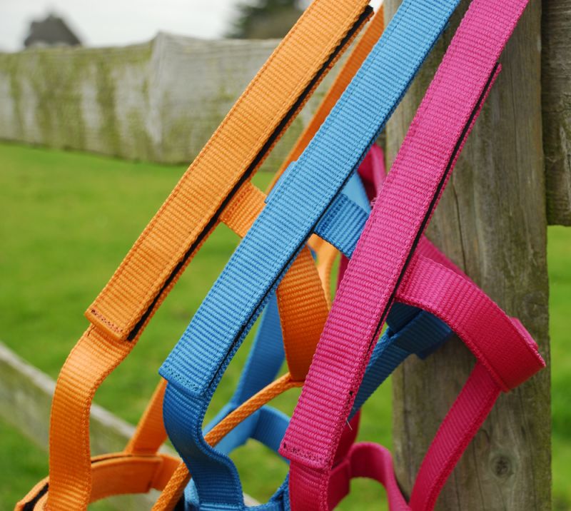 Rhinegold Field Safe Headcollar – Gentle, Metal-Free Safety for Your Horse Rhinegold Field Safe Headcollar – Gentle, Metal-Free Safety for Your Horse