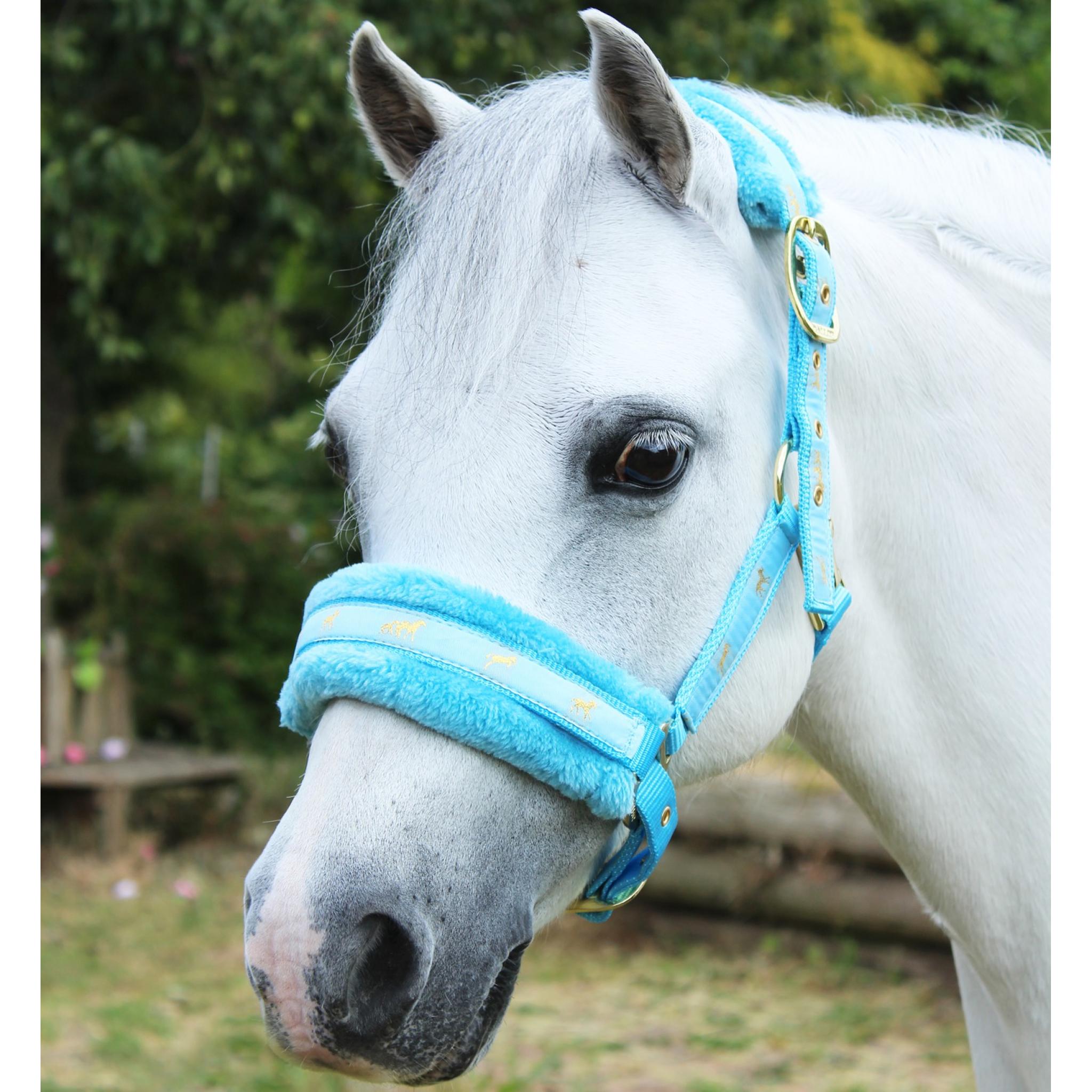 Full Fur Head Collar Full Fur Head Collar